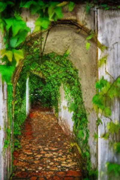 Wandering Corridor