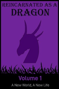 Reincarnated As A Dragon Vol.1: A New World, A New Life