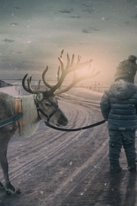 The Reindeer and the Winter Spirits