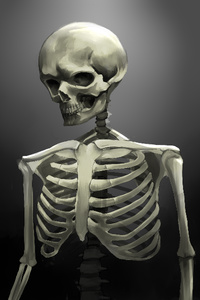 RE: Skeleton Conqueror