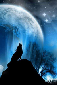 Skinwalker / War Chief