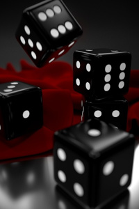 The Die Rolls