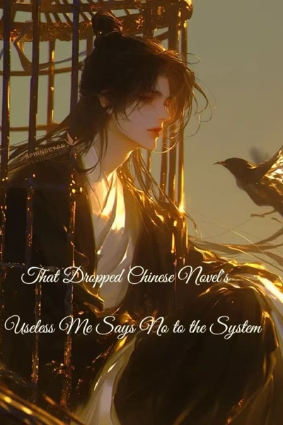 That Dropped Chinese Novel’s Useless Me Says No to the System