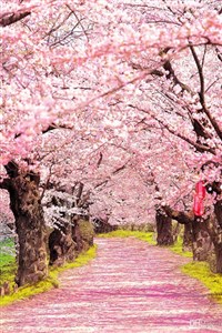 A Love Spring of Summer