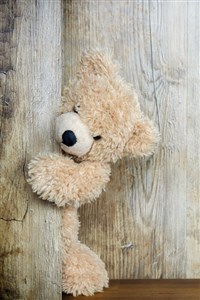 Teddy Bear