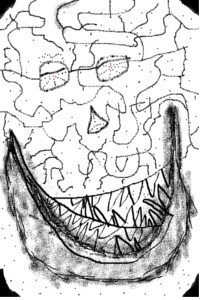 J-u-s-t smile.
