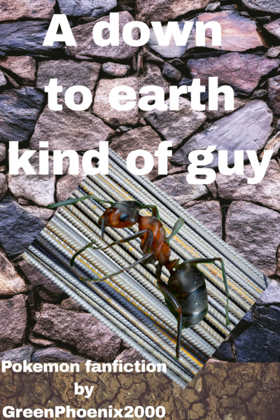 (Hiatus until July)A down to earth type of guy (pokemon fanfiction by GreenPhoenix2000)