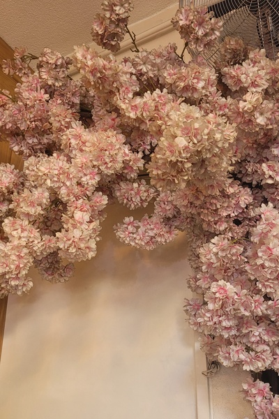 LUNA-Mystery&Revenge