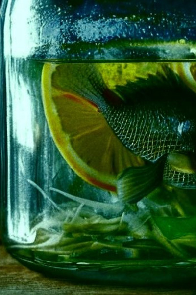 Brine Drinker