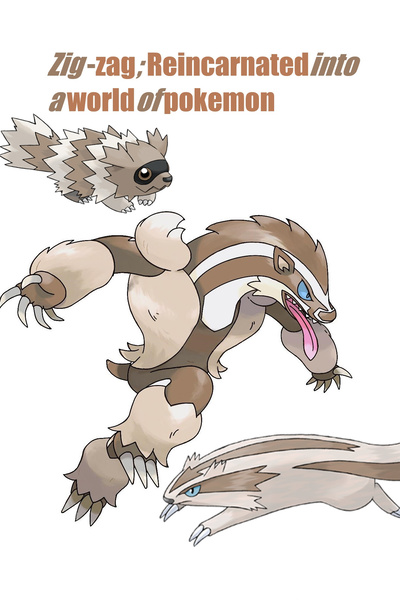Zig zag; Reincarnated in a world of pokemon