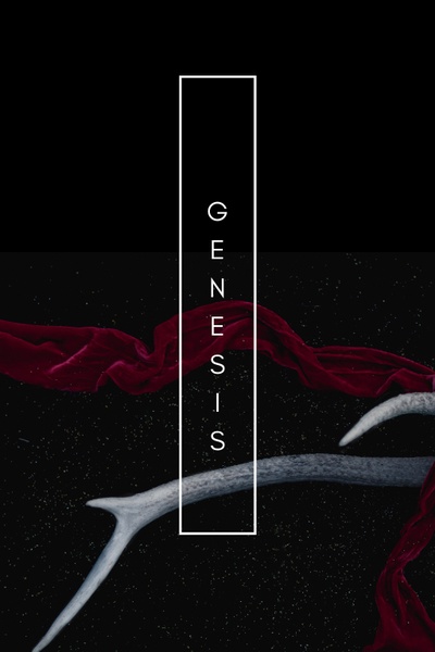 Genesis (A Short Story)