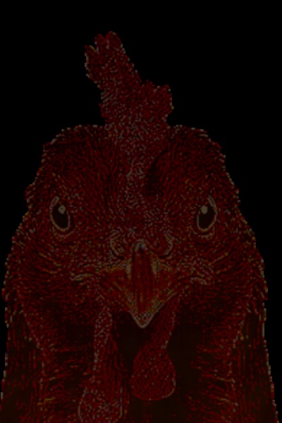 im am chicken
