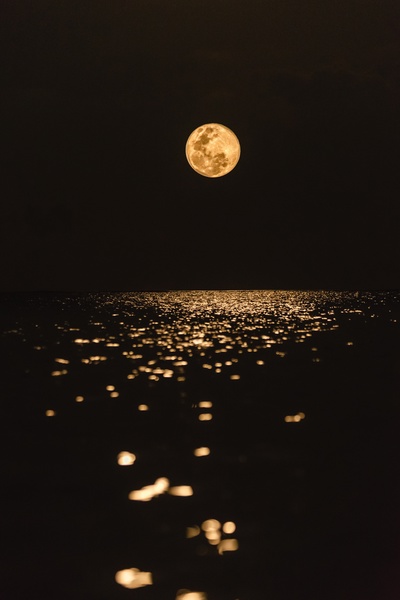 Scar of the Lunar